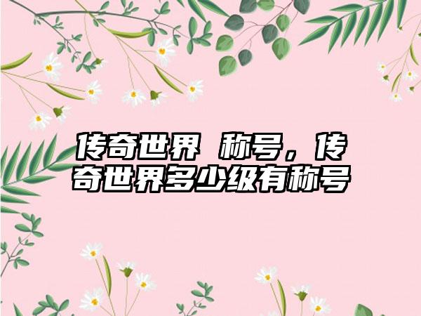 传奇世界 称号，传奇世界多少级有称号