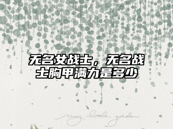 无名女战士，无名战士胸甲满力是多少