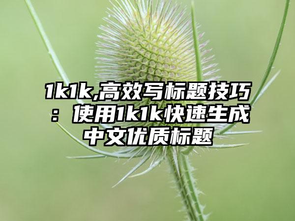 1k1k,高效写标题技巧：使用1k1k快速生成中文优质标题