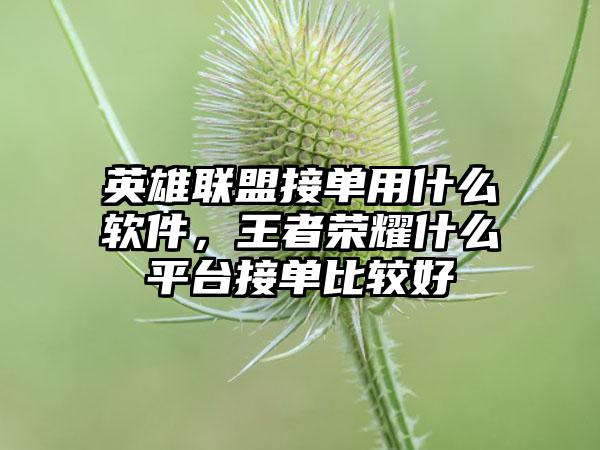 英雄联盟接单用什么软件，王者荣耀什么平台接单比较好