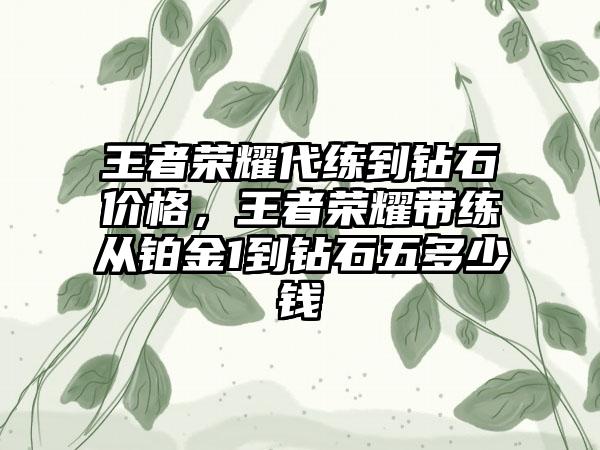 王者荣耀代练到钻石价格，王者荣耀带练从铂金1到钻石五多少钱