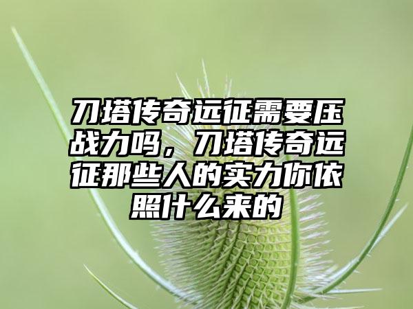 刀塔传奇远征需要压战力吗，刀塔传奇远征那些人的实力你依照什么来的