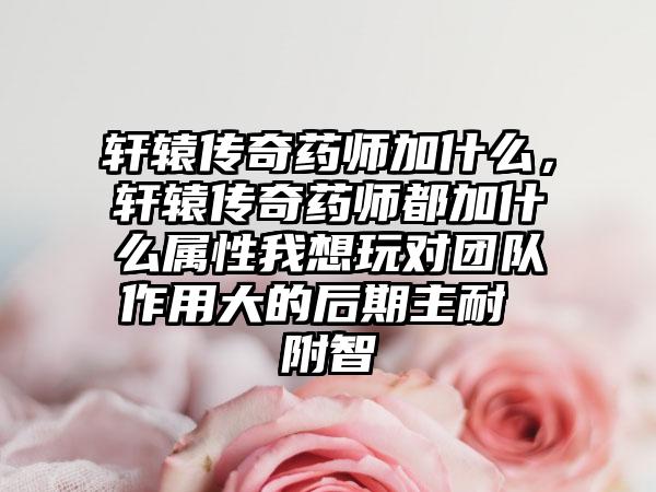 轩辕传奇药师加什么，轩辕传奇药师都加什么属性我想玩对团队作用大的后期主耐 附智
