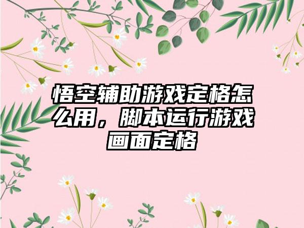 悟空辅助游戏定格怎么用，脚本运行游戏画面定格