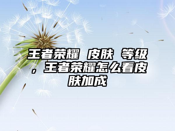 王者荣耀 皮肤 等级，王者荣耀怎么看皮肤加成