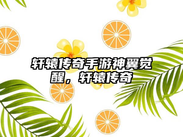 轩辕传奇手游神翼觉醒，轩辕传奇