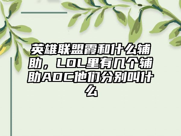 英雄联盟霞和什么辅助，LOL里有几个辅助ADC他们分别叫什么