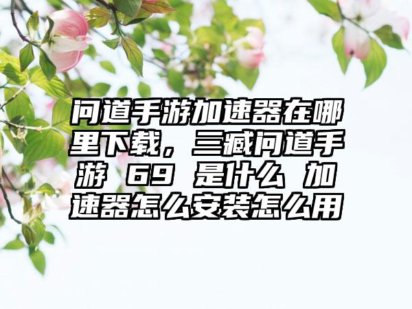 问道手游加速器在哪里下载，三臧问道手游 69 是什么 加速器怎么安装怎么用