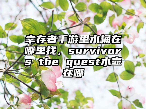 幸存者手游里水桶在哪里找，survivors the quest水壶在哪