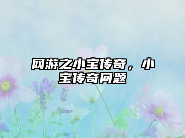 网游之小宝传奇，小宝传奇问题