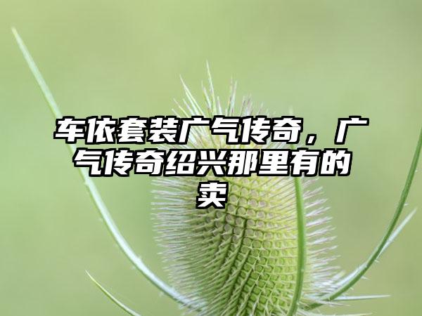 车依套装广气传奇，广气传奇绍兴那里有的卖