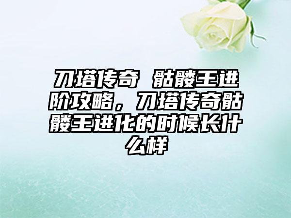 刀塔传奇 骷髅王进阶攻略，刀塔传奇骷髅王进化的时候长什么样