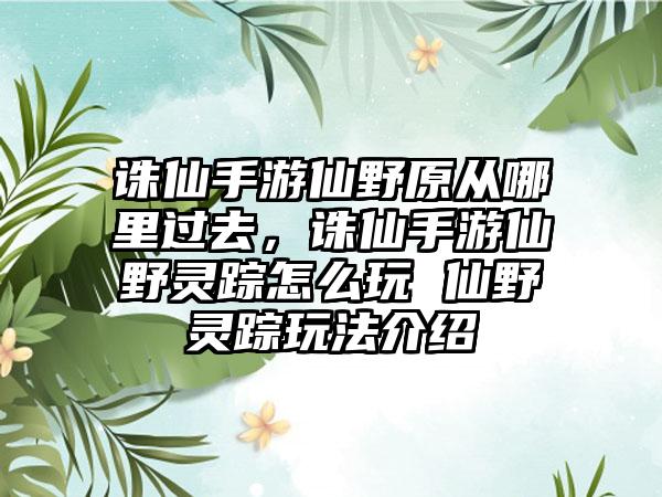 诛仙手游仙野原从哪里过去，诛仙手游仙野灵踪怎么玩 仙野灵踪玩法介绍