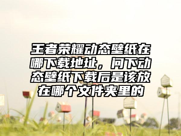 王者荣耀动态壁纸在哪下载地址，问下动态壁纸下载后是该放在哪个文件夹里的