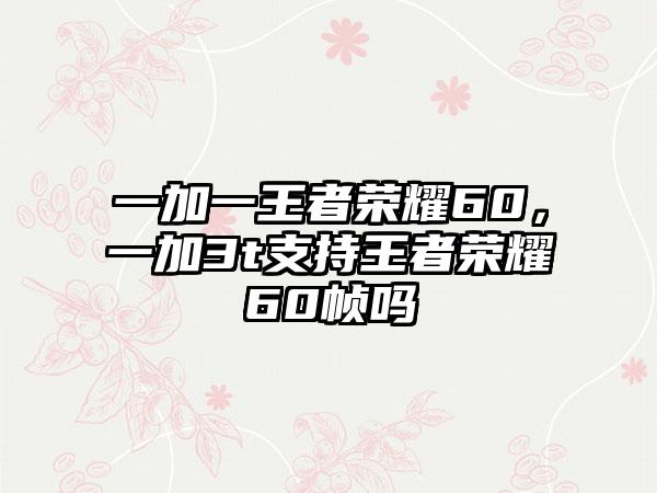一加一王者荣耀60，一加3t支持王者荣耀60帧吗