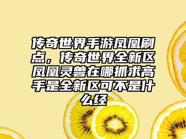 传奇世界手游凤凰刷点，传奇世界全新区凤凰灵兽在哪抓求高手是全新区可不是什么经