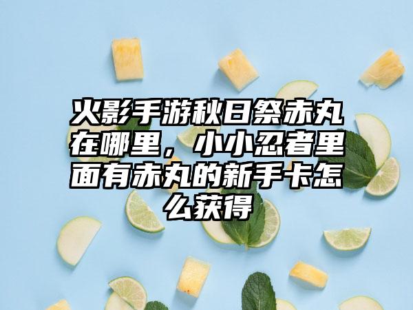 火影手游秋日祭赤丸在哪里，小小忍者里面有赤丸的新手卡怎么获得