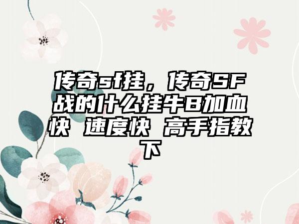传奇sf挂，传奇SF战的什么挂牛B加血快 速度快 高手指教下