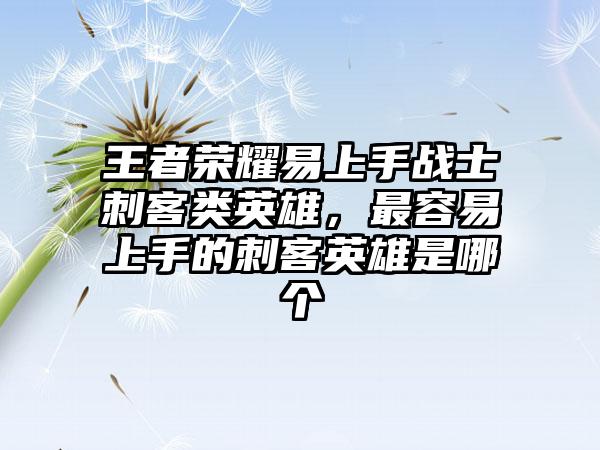 王者荣耀易上手战士刺客类英雄，最容易上手的刺客英雄是哪个