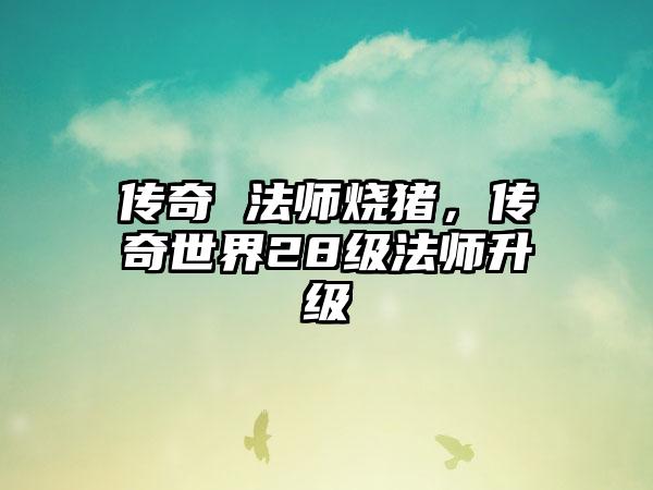 传奇 法师烧猪，传奇世界28级法师升级