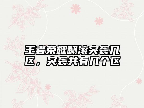 王者荣耀翻滚突袭几区，突袭共有几个区