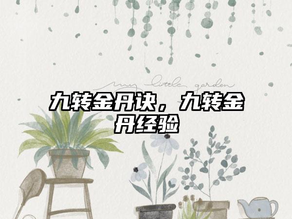 九转金丹诀，九转金丹经验