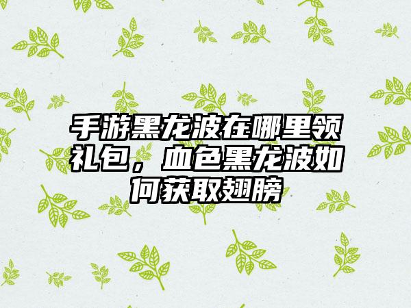 手游黑龙波在哪里领礼包，血色黑龙波如何获取翅膀
