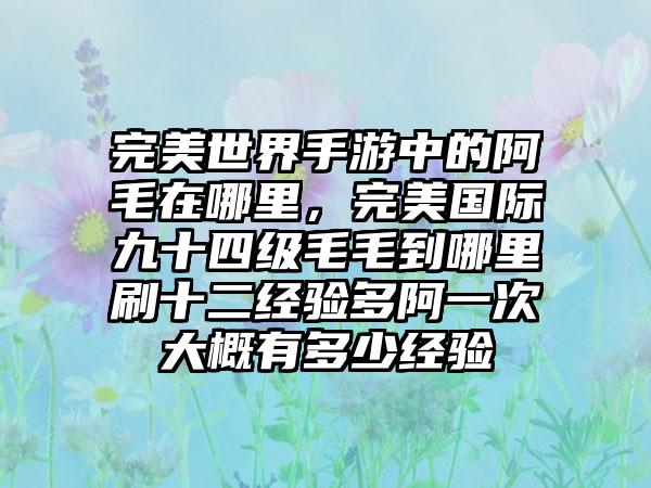 完美世界手游中的阿毛在哪里，完美国际九十四级毛毛到哪里刷十二经验多阿一次大概有多少经验