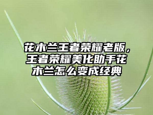 花木兰王者荣耀老版，王者荣耀美化助手花木兰怎么变成经典