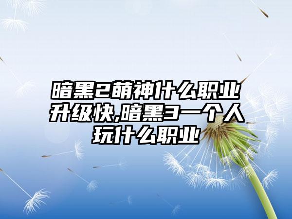 暗黑2萌神什么职业升级快,暗黑3一个人玩什么职业