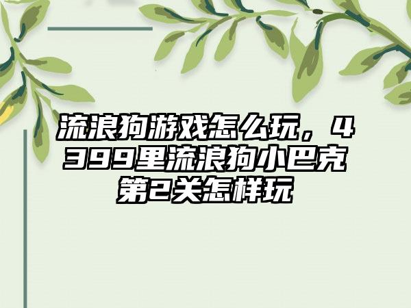 流浪狗游戏怎么玩，4399里流浪狗小巴克第2关怎样玩