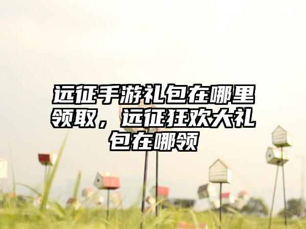 远征手游礼包在哪里领取，远征狂欢大礼包在哪领
