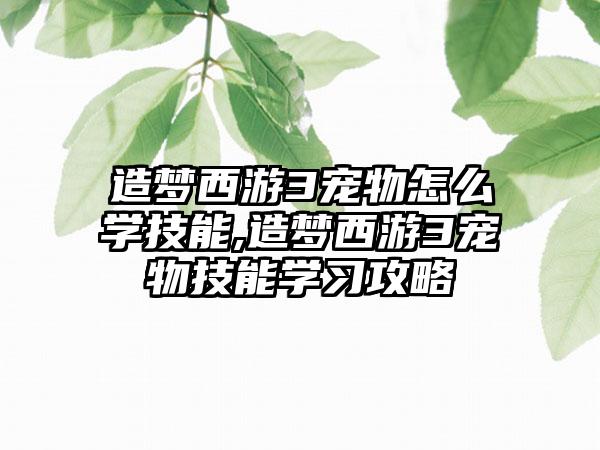 造梦西游3宠物怎么学技能,造梦西游3宠物技能学习攻略
