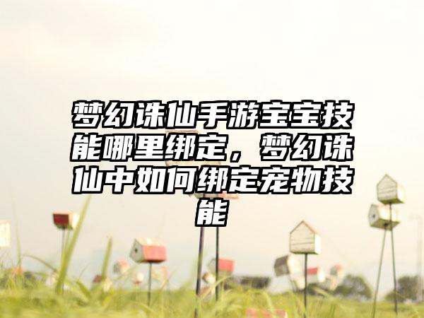 梦幻诛仙手游宝宝技能哪里绑定，梦幻诛仙中如何绑定宠物技能