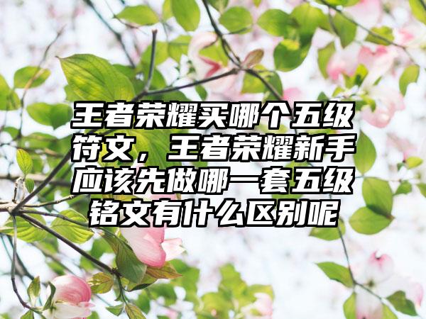 王者荣耀买哪个五级符文，王者荣耀新手应该先做哪一套五级铭文有什么区别呢