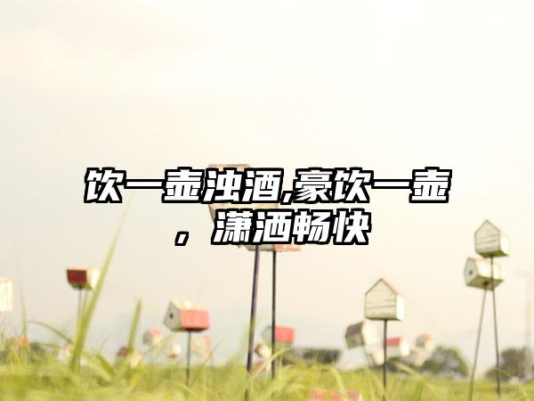 饮一壶浊酒,豪饮一壶，潇洒畅快