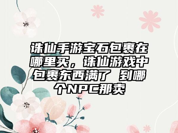 诛仙手游宝石包裹在哪里买，诛仙游戏中包裹东西满了 到哪个NPC那卖
