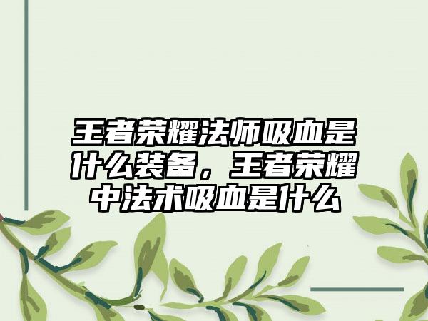 王者荣耀法师吸血是什么装备，王者荣耀中法术吸血是什么