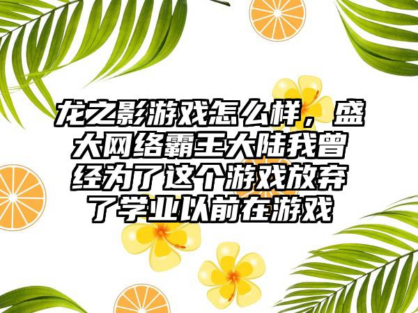 龙之影游戏怎么样，盛大网络霸王大陆我曾经为了这个游戏放弃了学业以前在游戏
