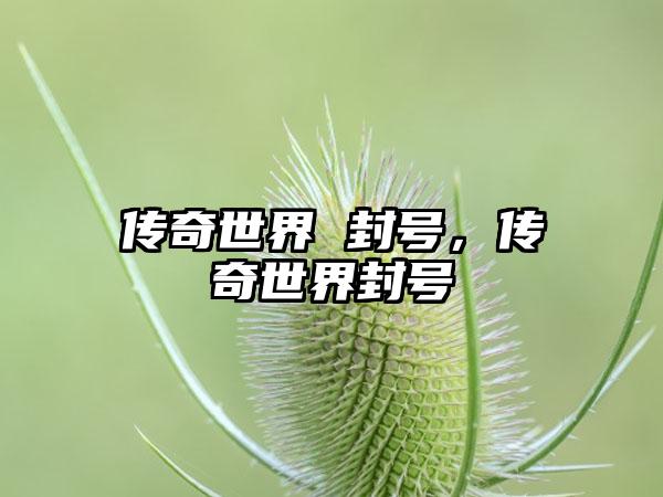 传奇世界 封号，传奇世界封号