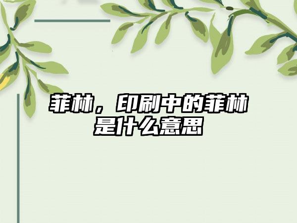 菲林，印刷中的菲林是什么意思