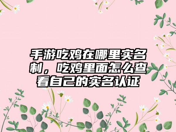 手游吃鸡在哪里实名制，吃鸡里面怎么查看自己的实名认证