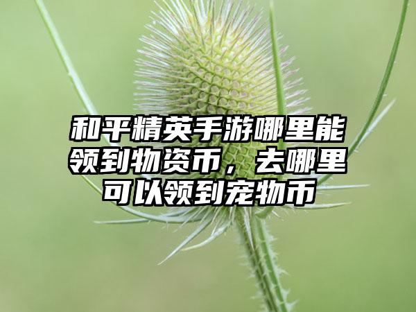 和平精英手游哪里能领到物资币，去哪里可以领到宠物币