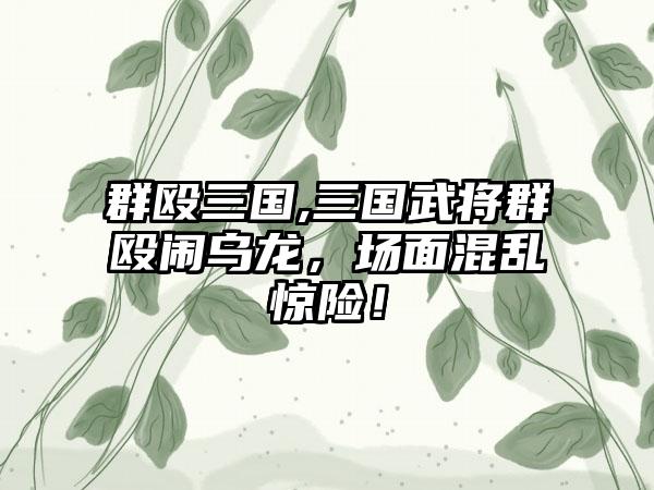 群殴三国,三国武将群殴闹乌龙，场面混乱惊险！
