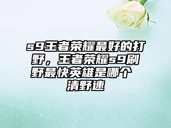 s9王者荣耀最好的打野，王者荣耀s9刷野最快英雄是哪个 清野速