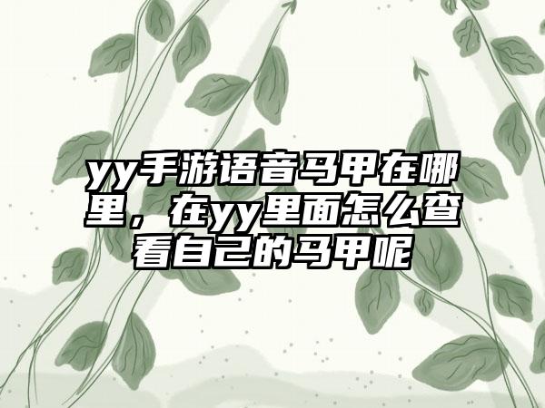 yy手游语音马甲在哪里，在yy里面怎么查看自己的马甲呢