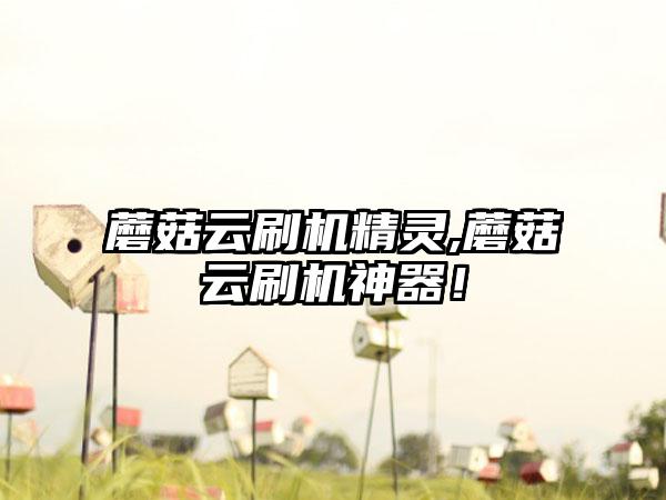 蘑菇云刷机精灵,蘑菇云刷机神器！