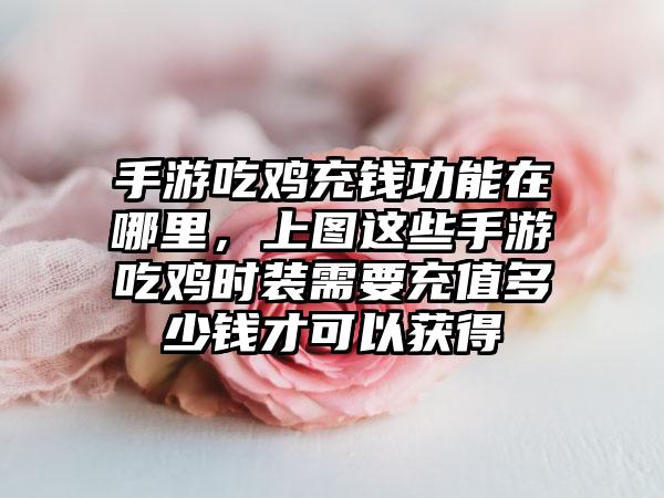 手游吃鸡充钱功能在哪里，上图这些手游吃鸡时装需要充值多少钱才可以获得
