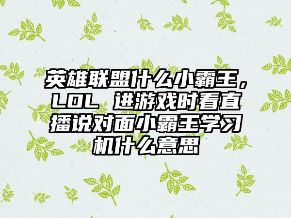 英雄联盟什么小霸王，LOL 进游戏时看直播说对面小霸王学习机什么意思