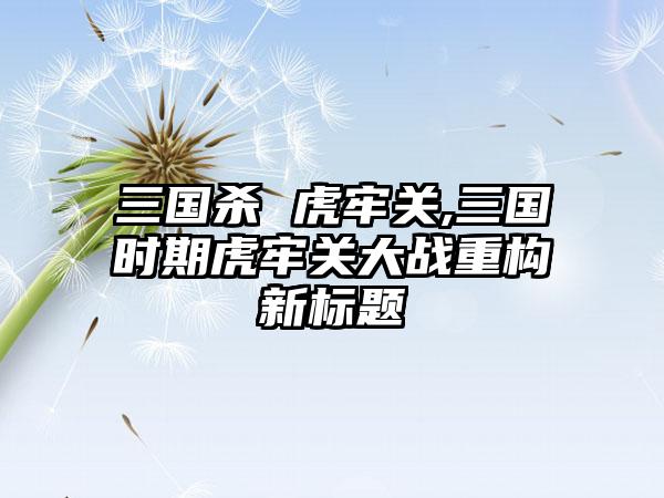 三国杀 虎牢关,三国时期虎牢关大战重构新标题